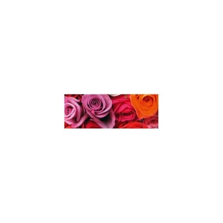 Blahoželanie Roses 21x8cm